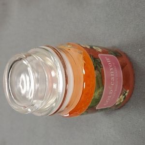 STRAWBERRY KIWI. Gold Canyon 5 oz/mini  candle